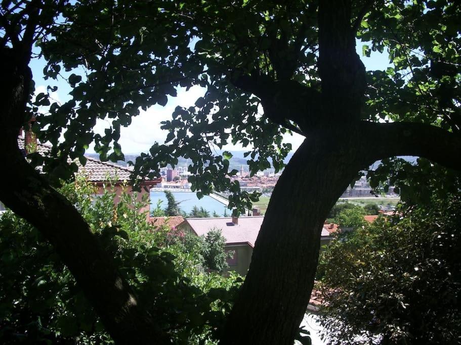 Studio With Garden Near The Sea Koper Zewnętrze zdjęcie