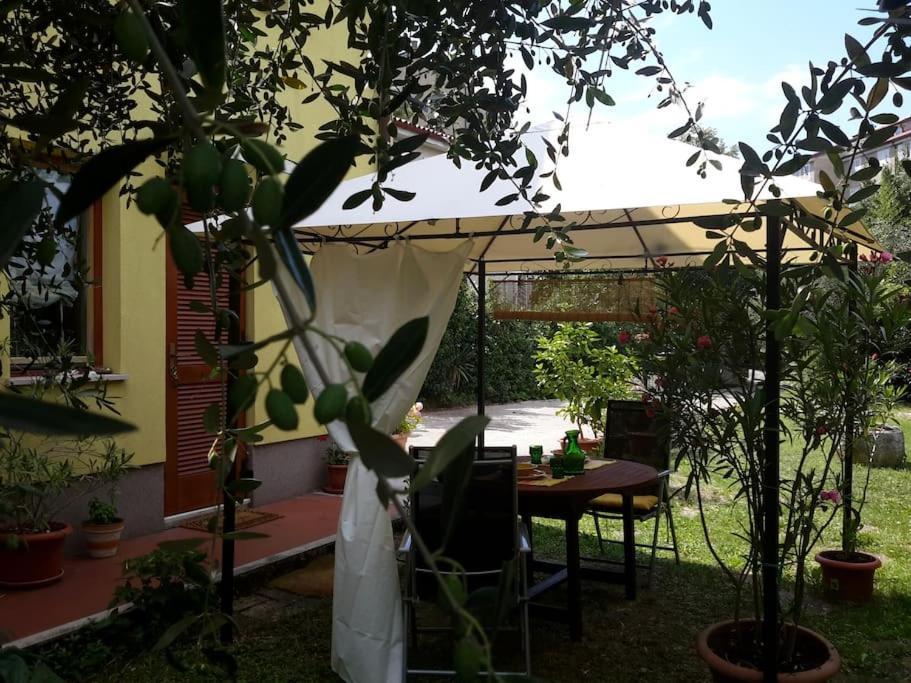 Studio With Garden Near The Sea Koper Zewnętrze zdjęcie